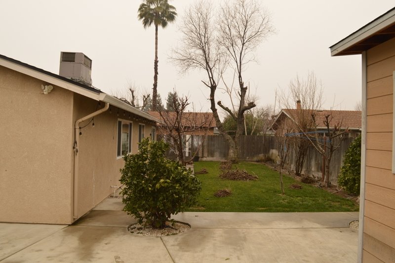 1074 Plumwood Court property image