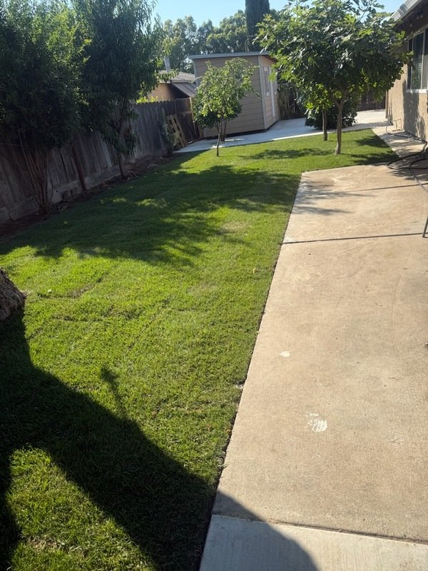 1074 Plumwood Court property image