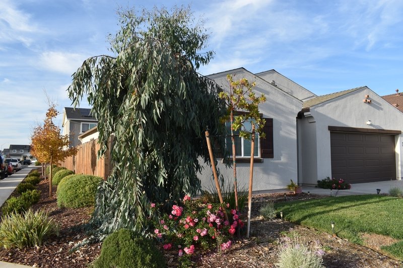 917 Somerset Way property image